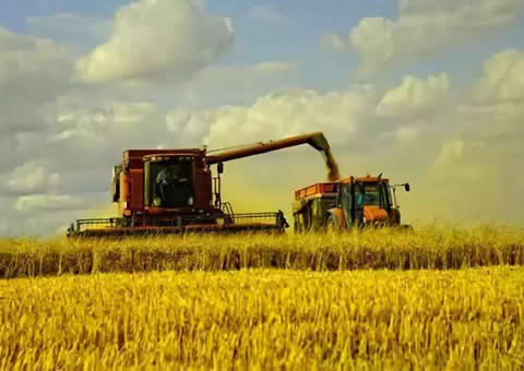 r(nng)I(y)      AGRICULTURE